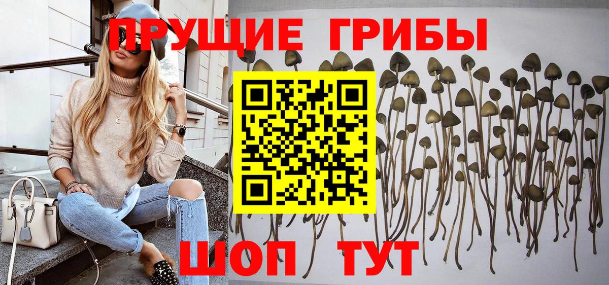 Псилоцибиновые грибы ЛСД Орехово-Зуево