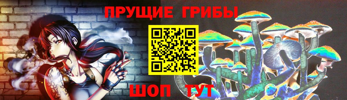Псилоцибиновые грибы Cubensis  Вход с VPN  Орехово-Зуево  Псилоцибиновые грибы мицелий 